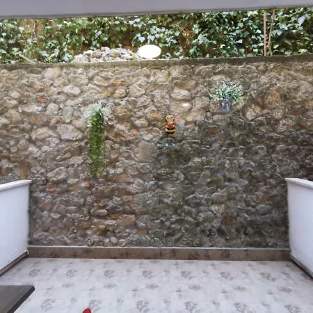 Simovic Guest house 3*