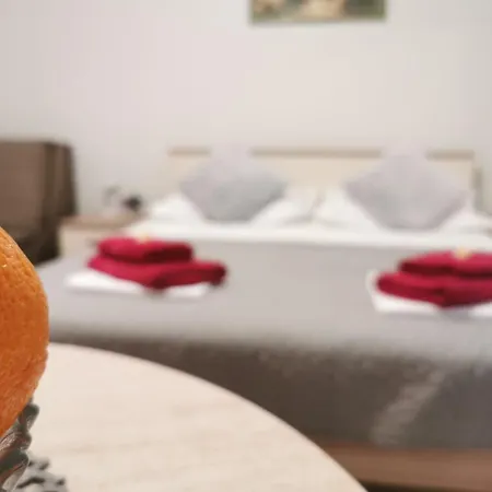 Guest house Simovic 3*